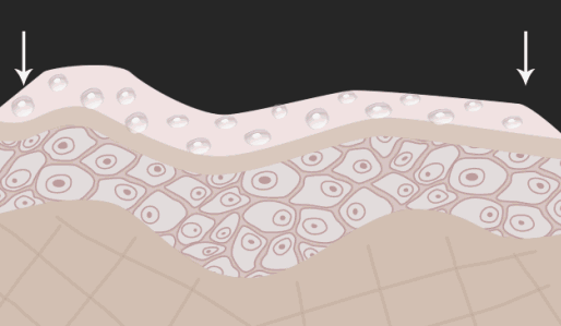 ⊱每天洗头会变秃？别信土办法，这招教你解决掉发、脱发！休闲区蓝鸢梦想 - Www.slyday.coM