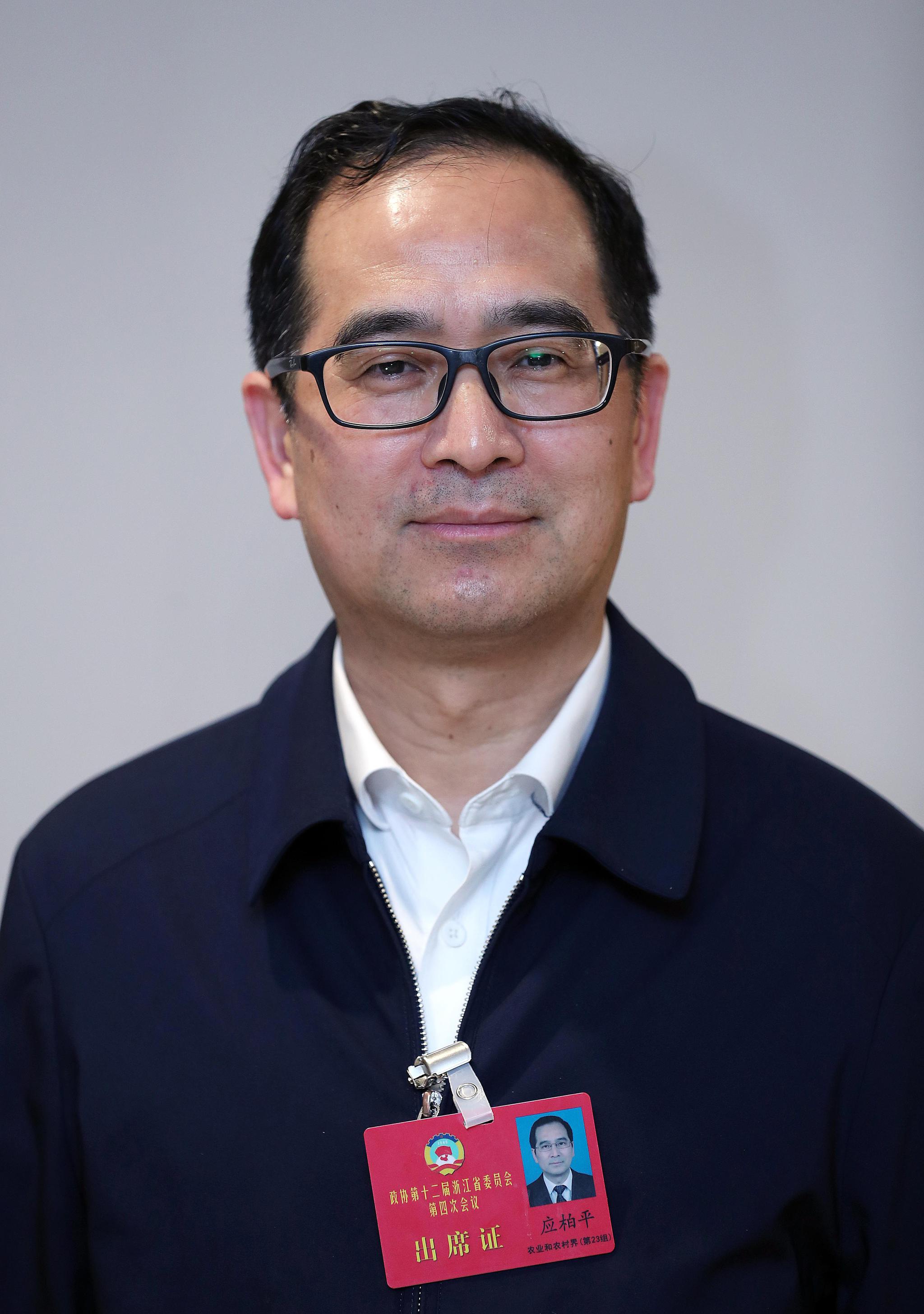 省政协委员应柏平:美丽城镇增色全域美丽