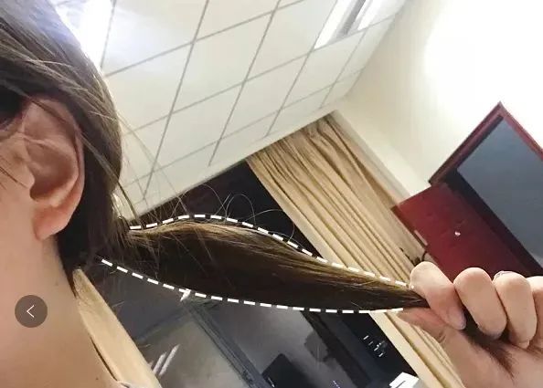 ⊱每天洗头会变秃？别信土办法，这招教你解决掉发、脱发！休闲区蓝鸢梦想 - Www.slyday.coM