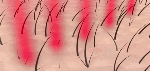 ⊱每天洗头会变秃？别信土办法，这招教你解决掉发、脱发！休闲区蓝鸢梦想 - Www.slyday.coM