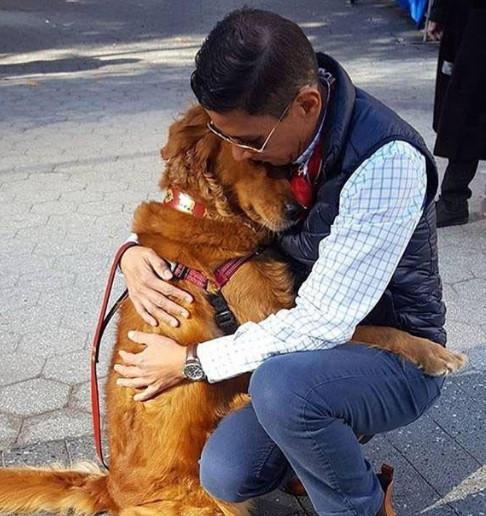 男子回家路上遭到金毛强抱,接下来的画面却让所有人感到温馨