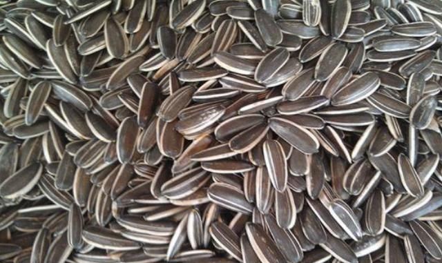 瓜子和花生一个帮助长肉一个帮助减肥很多人吃错了