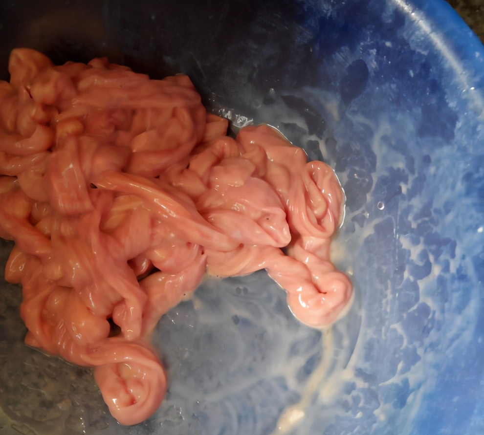 清洗猪小肠时加醋加碱都错了大厨教你一招没有一点腥臭味