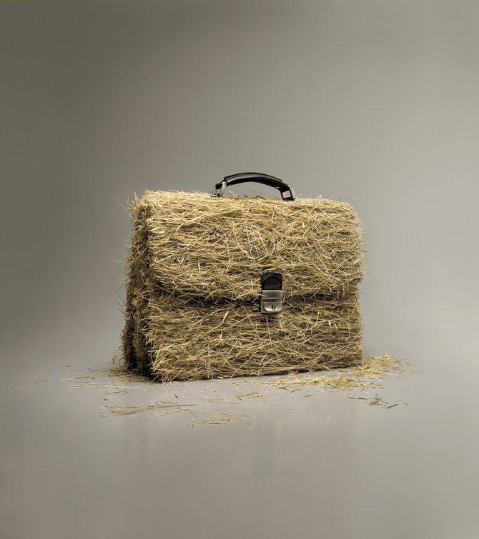 草包俗语形容词