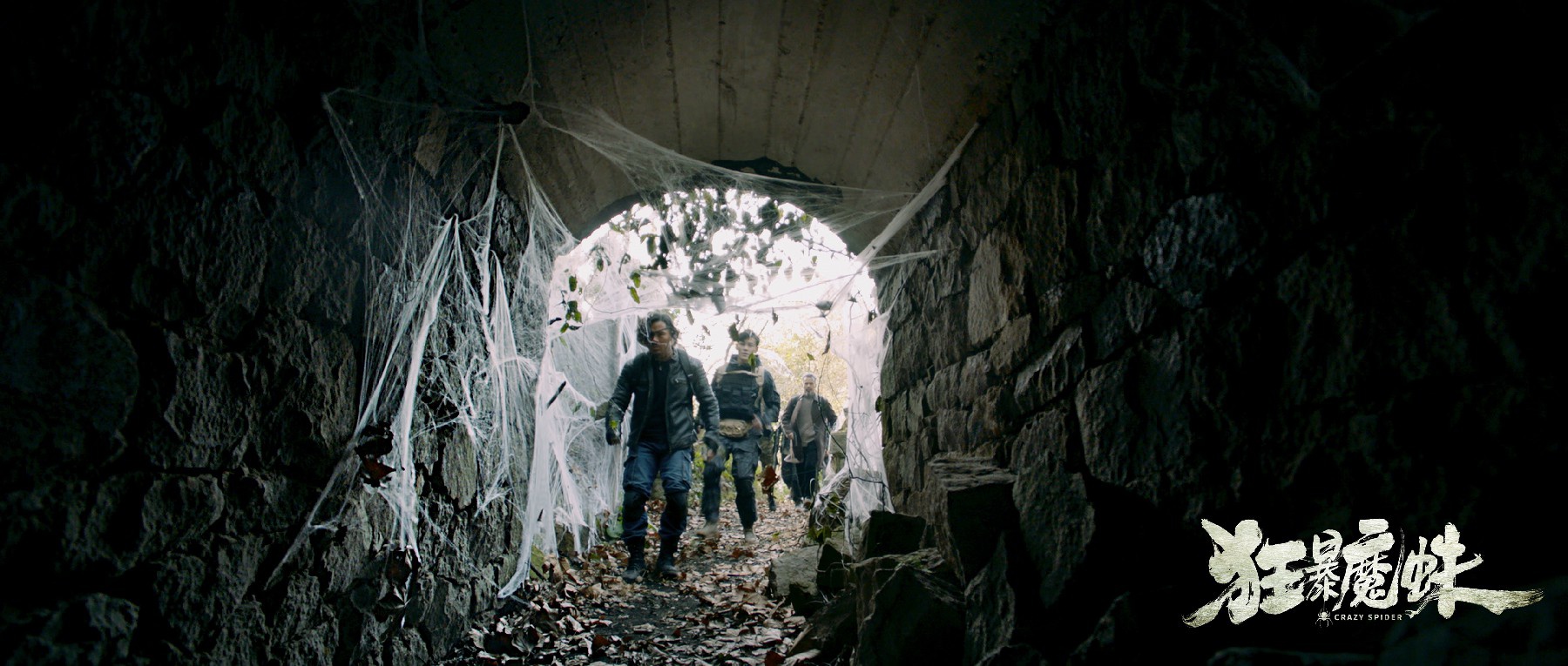 怪兽动作大片《狂暴魔蛛》今日在优酷正式上映