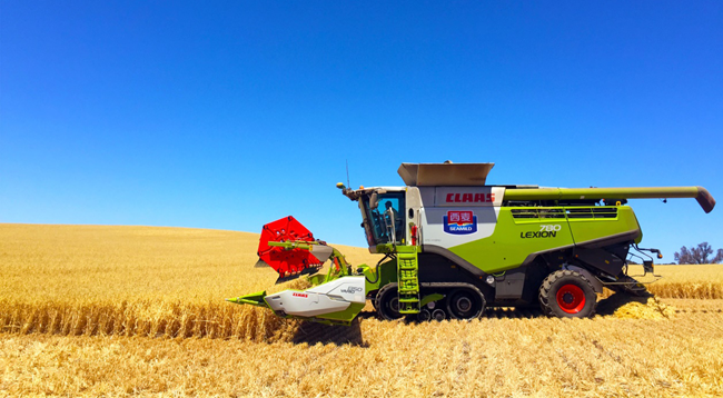 燕麦新品类火爆出圈西麦食品瞄准千亿z世代养生消费市场