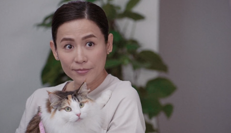 宣萱,陈豪晚节不保,豆瓣5.3,《陀枪师姐》复出遭降智打击