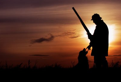 为什么大多数狗狗活不过15岁?一般是几个原因造成的休闲区蓝鸢梦想 - Www.slyday.coM 为什么大多数狗狗活不过15岁?一般是几个原因造成的休闲区蓝鸢梦想 - Www.slyday.coM