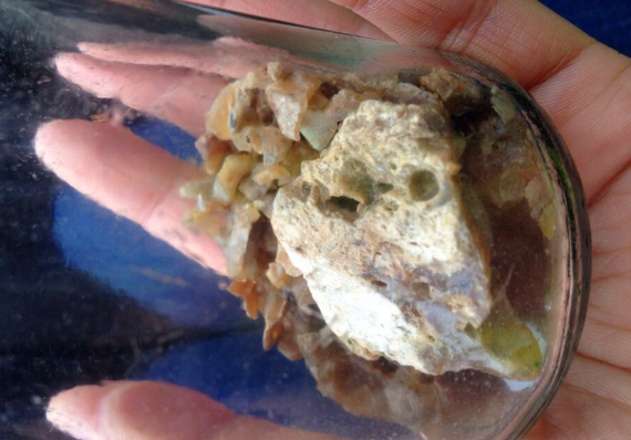 男子海边捡回一块很丑的"臭石头",后发现价值不菲