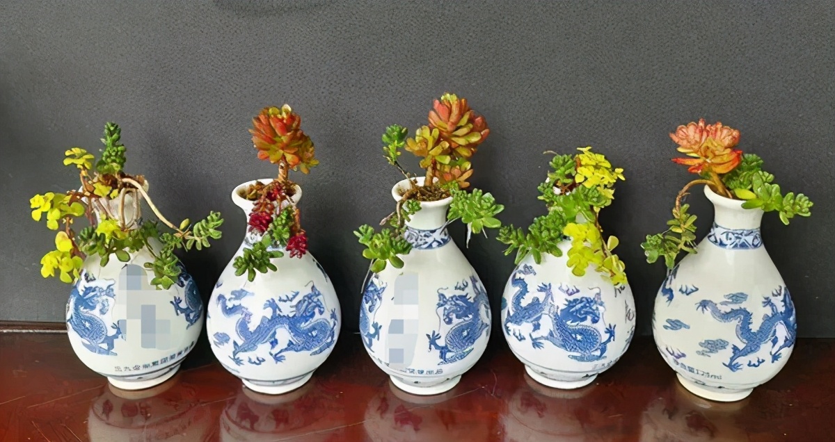 养花新创意:打磨加工酒瓶当花盆,颜值可媲美艺术品