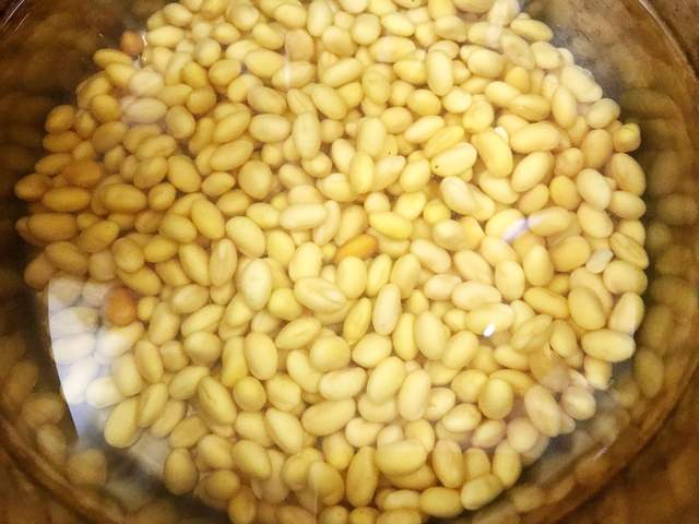 猪蹄胶原蛋白满满,可以美容养颜,搭配黄豆焖煮更美味