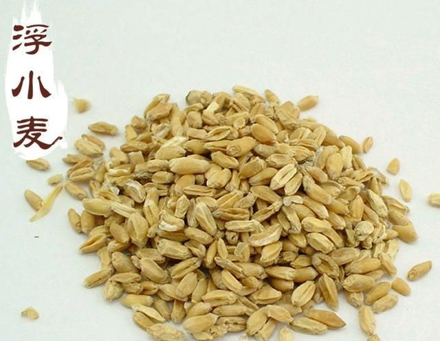 中药古今研究浮小麦