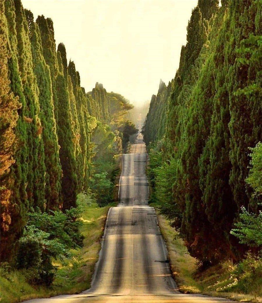 美景在路上美图来自网络