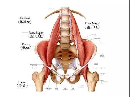 许晴不愧是公主51岁依旧身材惹火蜜桃臀