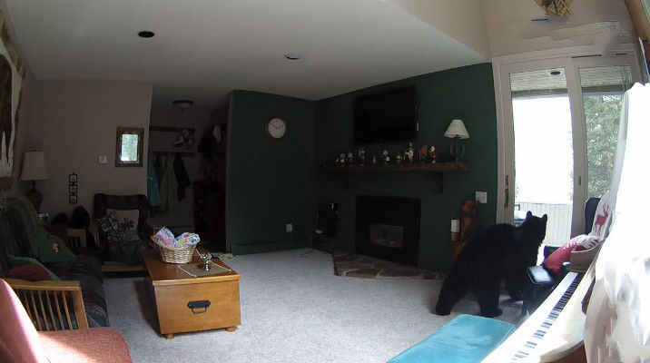 女子旅游回家发现家里有异常,打开监控一看,傻了!休闲区蓝鸢梦想 - Www.slyday.coM 女子旅游回家发现家里有异常,打开监控一看,傻了!休闲区蓝鸢梦想 - Www.slyday.coM