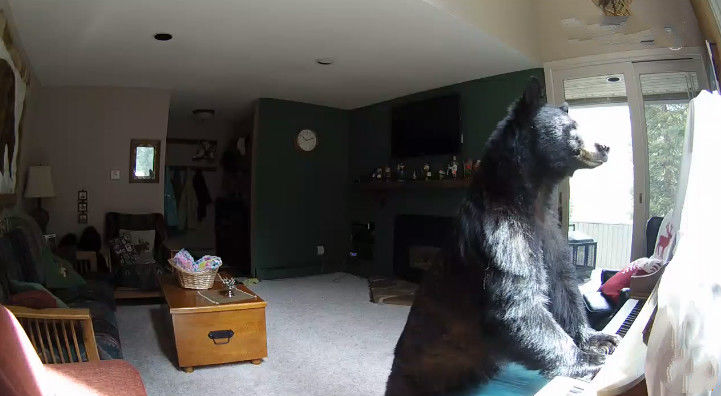 女子旅游回家发现家里有异常,打开监控一看,傻了!休闲区蓝鸢梦想 - Www.slyday.coM 女子旅游回家发现家里有异常,打开监控一看,傻了!休闲区蓝鸢梦想 - Www.slyday.coM