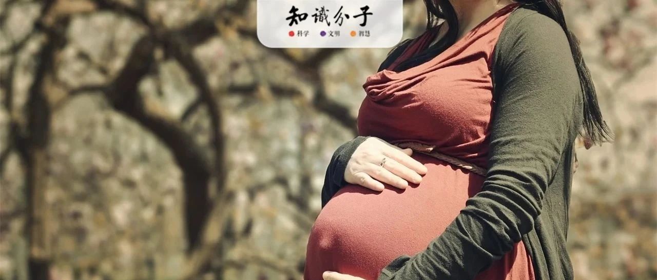四学者论代孕合法化：公平、剥削、多元社会，有偿、无偿及滑坡风险|代孕_新浪新闻