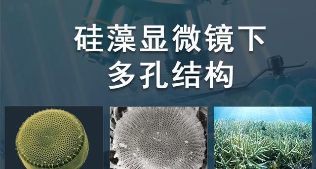 教你如何辨别硅藻泥再也不怕被坑