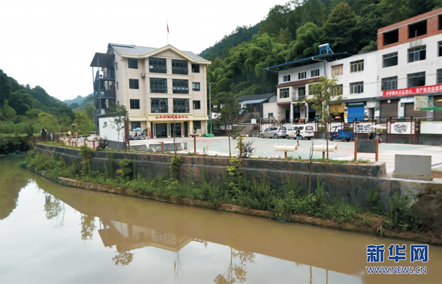 【脱贫攻坚答卷】龙驹镇:"三师入户"助脱贫 山村处处气象新