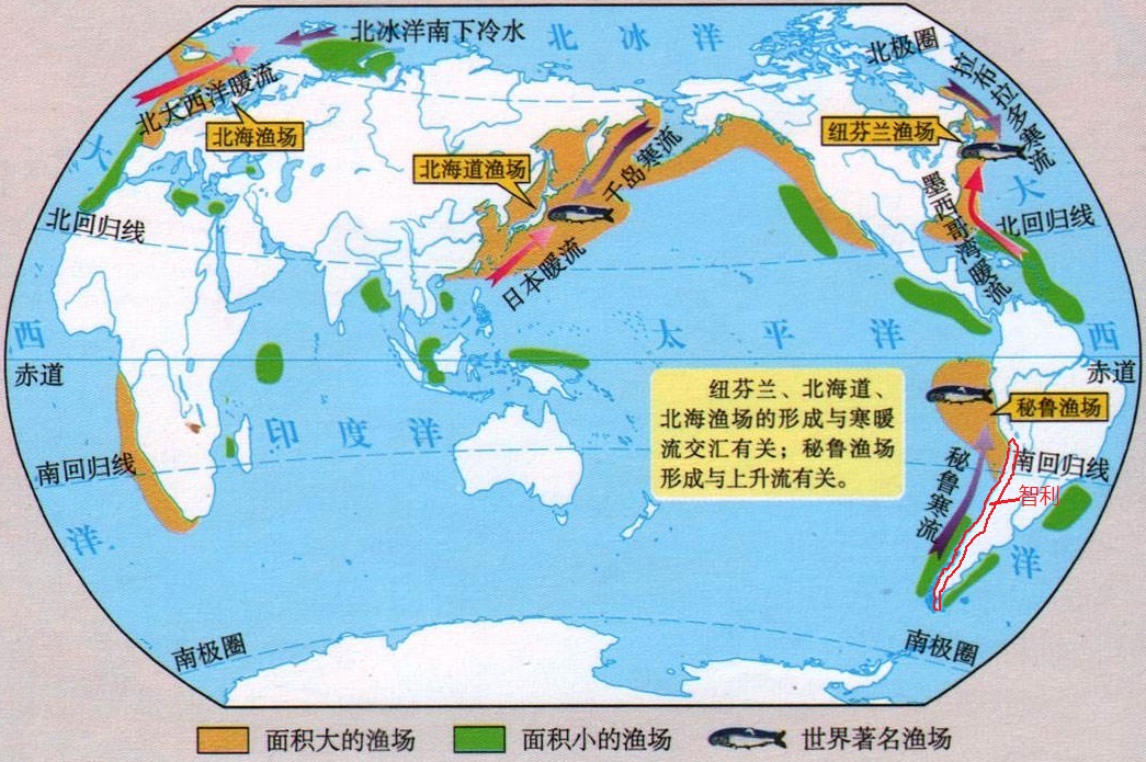 南美洲西侧的秘鲁沿海为什么会形成世界著名的秘鲁渔场