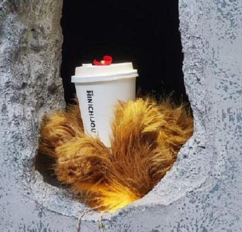 "熊爪咖啡"春节前开新店 上海网红持续回报社会