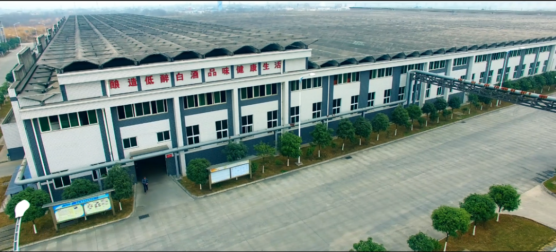 光是在2020年期间,丰谷酒业就荣获了"绿色工厂"称号,"绵阳市政府质量