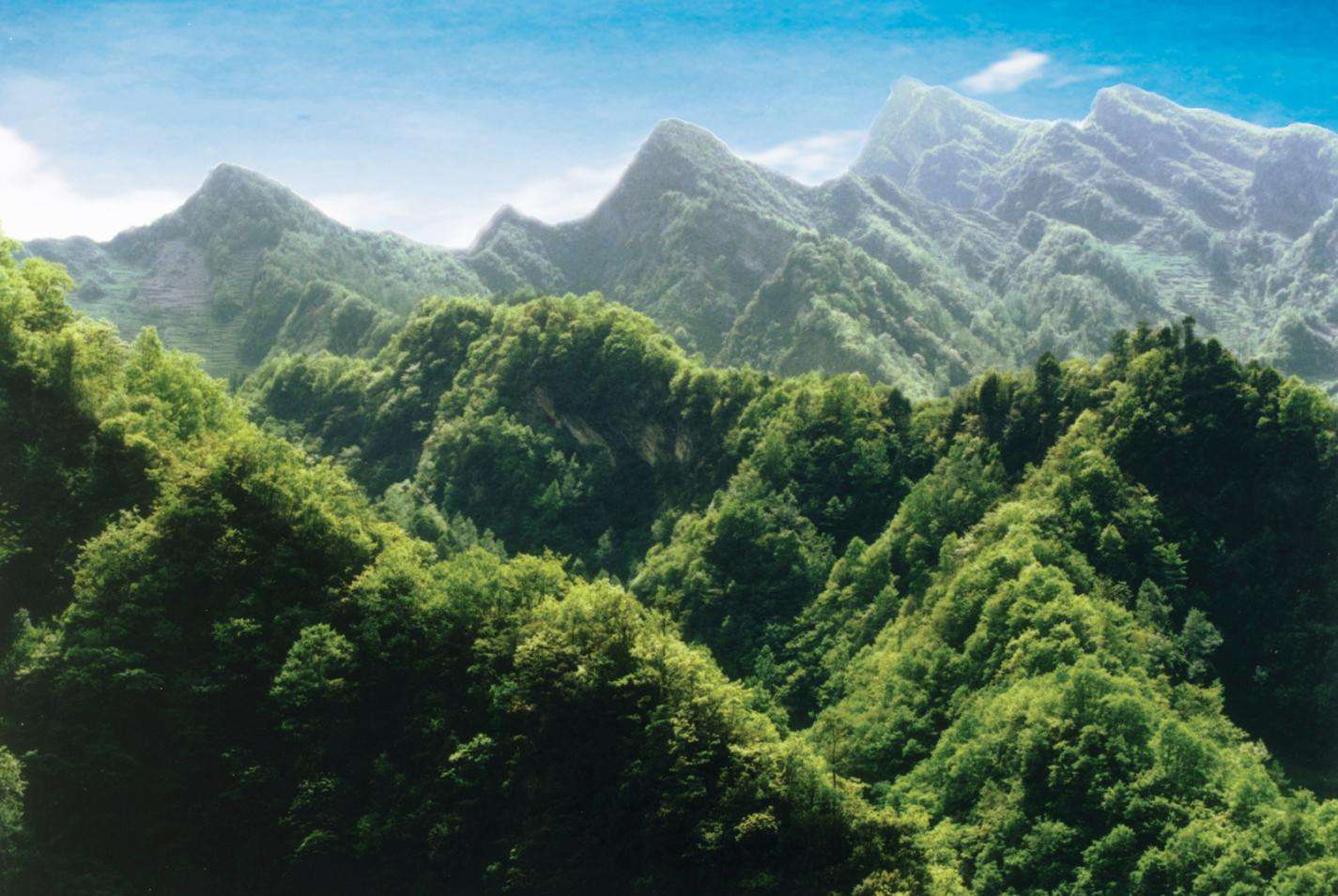 四川被忽略的一处森林公园,以原始森林景观为主,是国家级公园