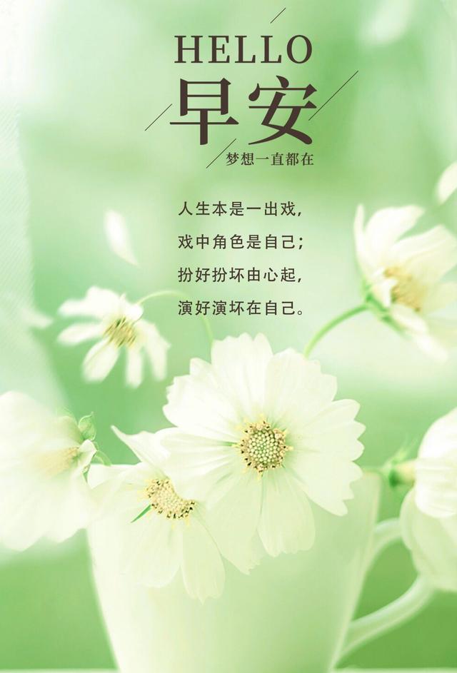 激励奋斗早安心语,早安语录努力说说,句句充满朝气!