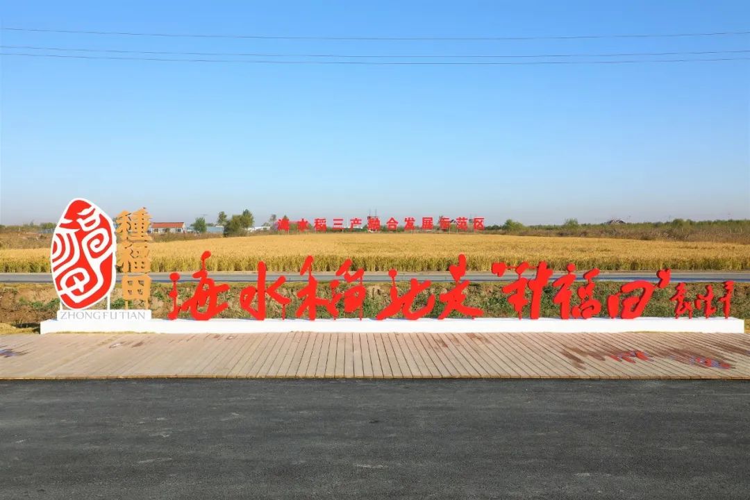 袁隆平团队海水稻产业团体标准发布种福田让海水稻产业造福于人