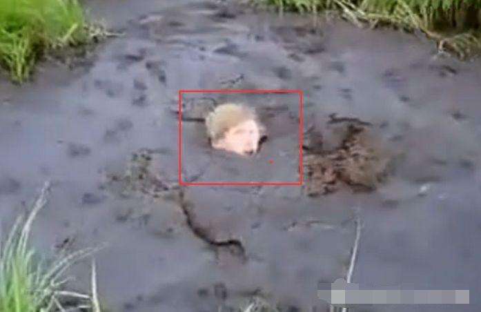 作死男子跳入沼泽的黑泥潭中,居然还左右摇摆,没一会肩膀以下全被黑