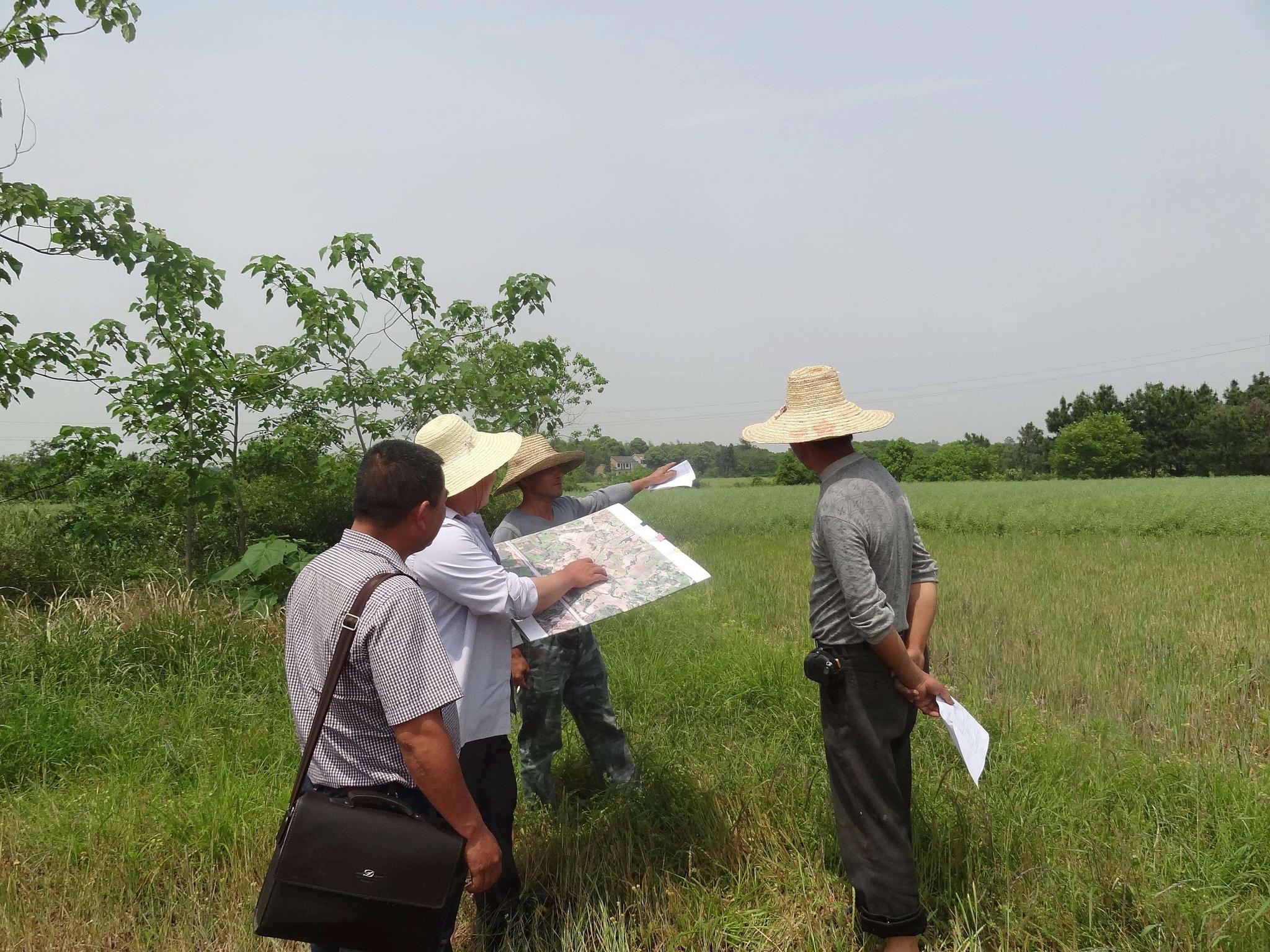 农民在土地确权完成后要注意,4类情况耕地会被收回|农村居民|承包地