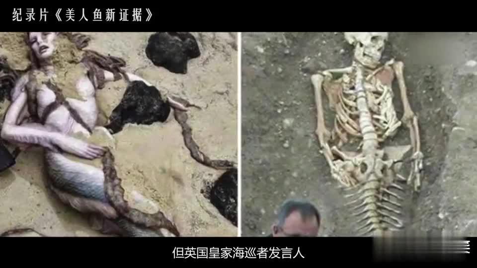 美人鱼的新证据