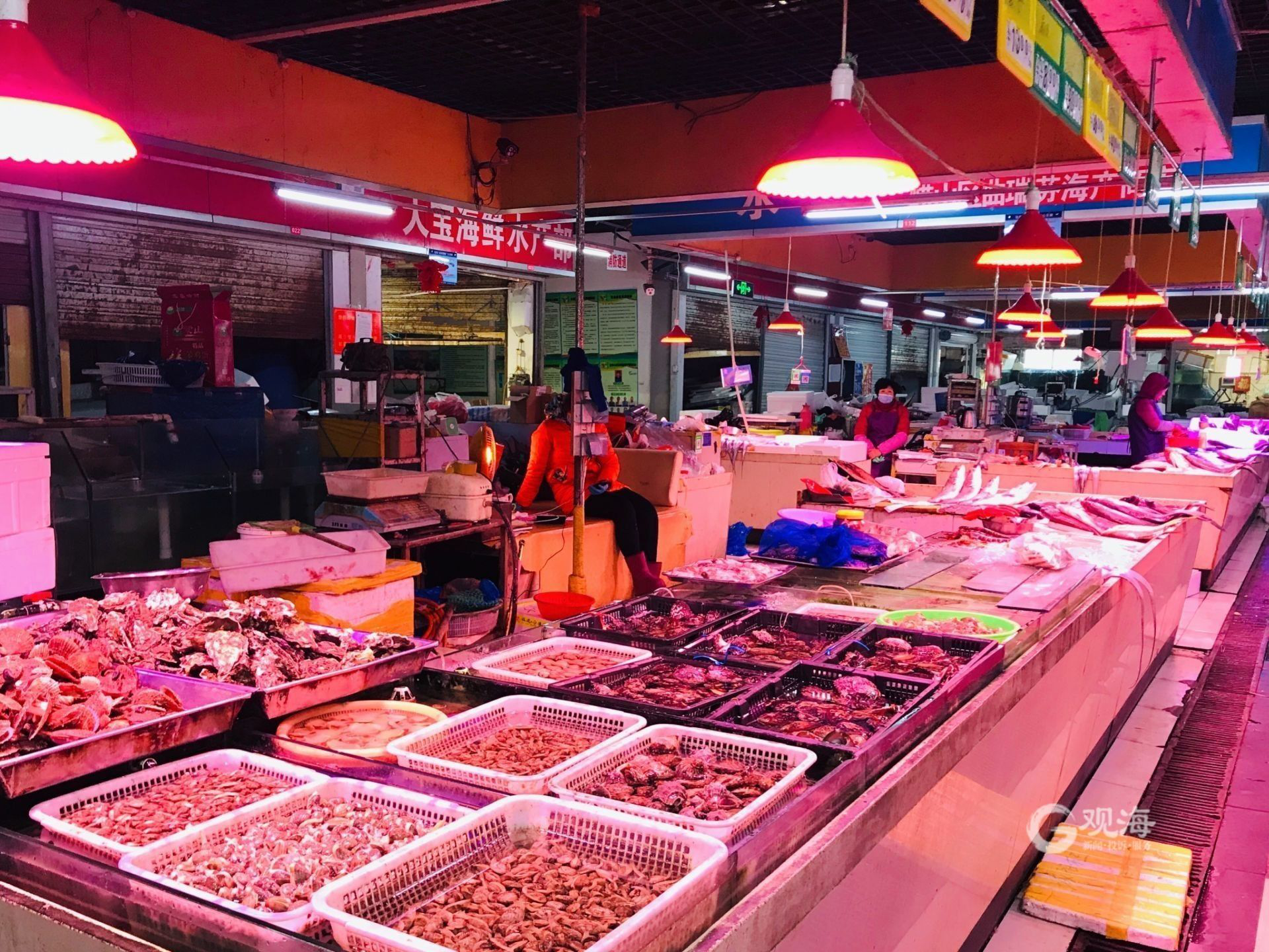 探访年前海鲜市场:这种鱼竟比去年同期便宜了十多块钱