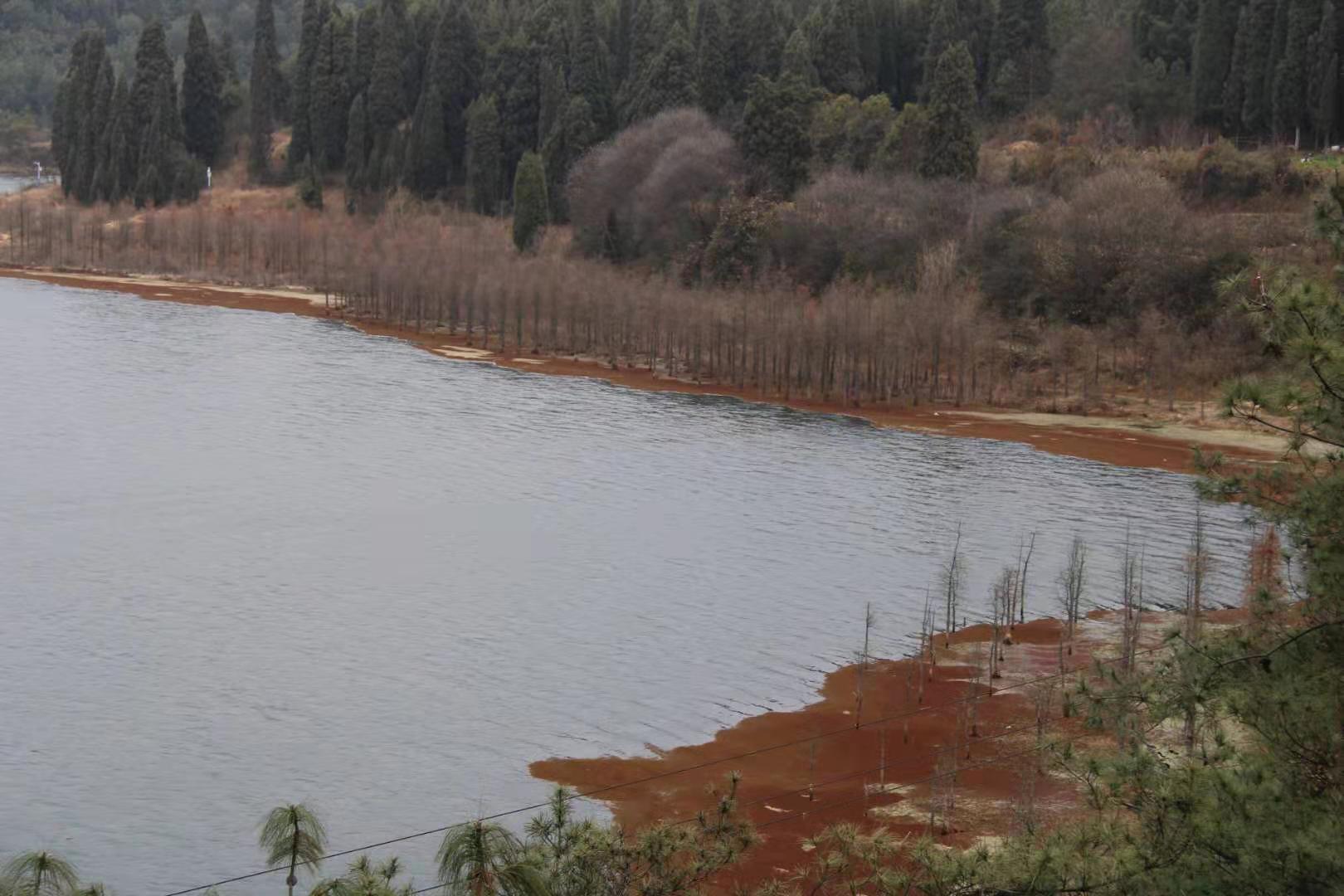 組圖冬日的三家村水庫見過沒有