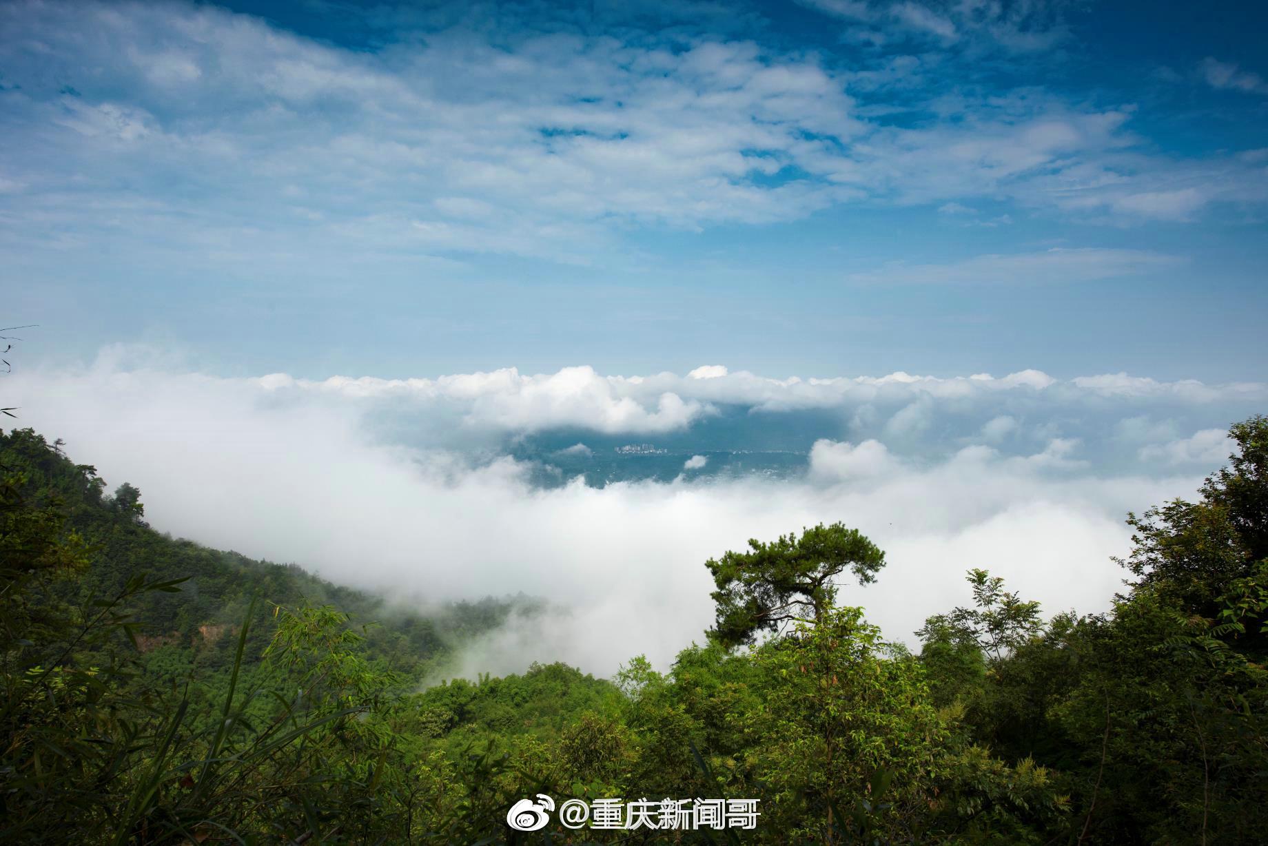 携心爱的人,北碚青峰山红豆园,不了情