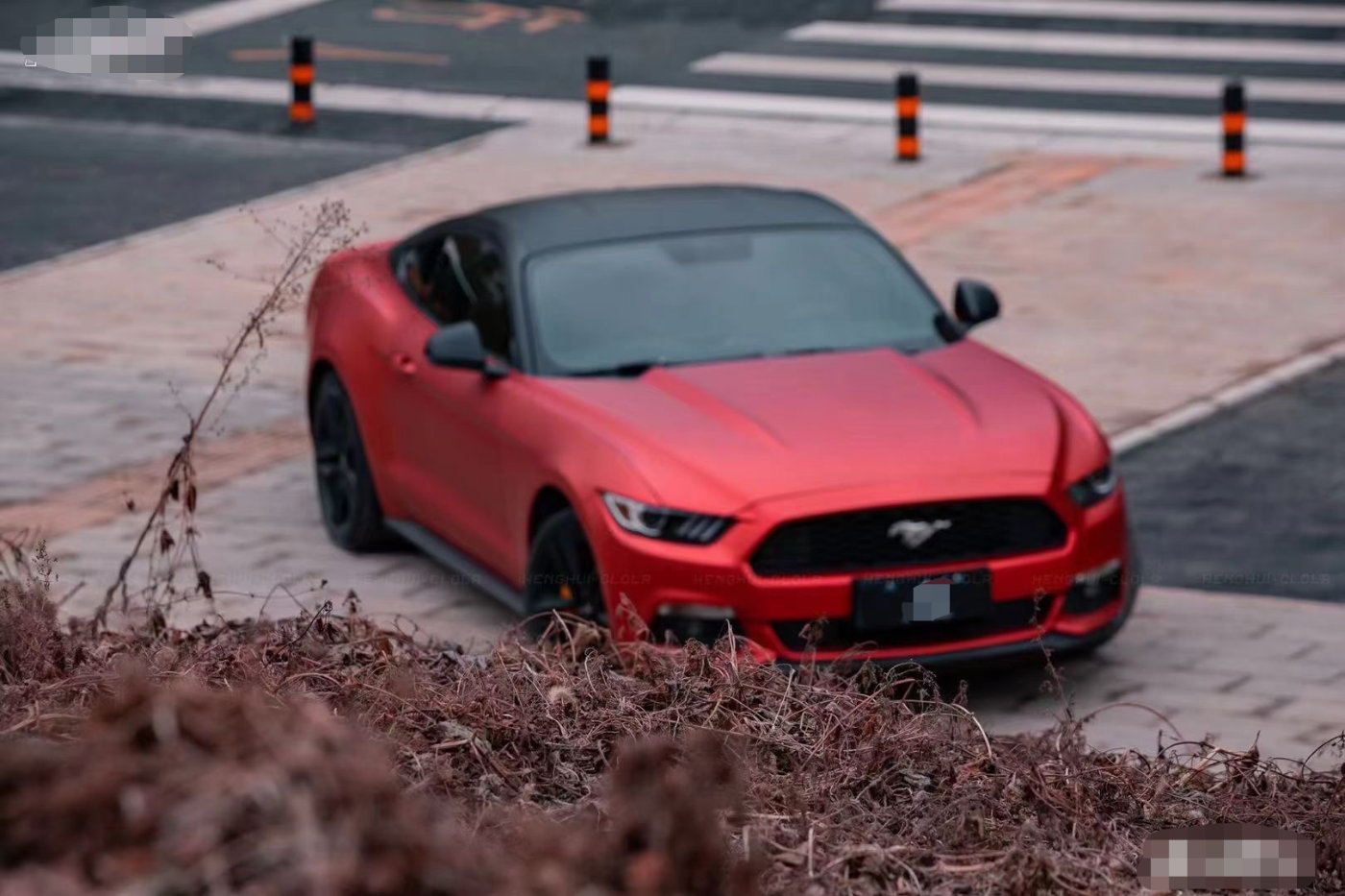 金属红色和哑光黑色碰撞 福特野马即将脱缰-新浪汽车