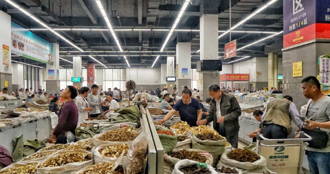 新闻发布seo推广费用