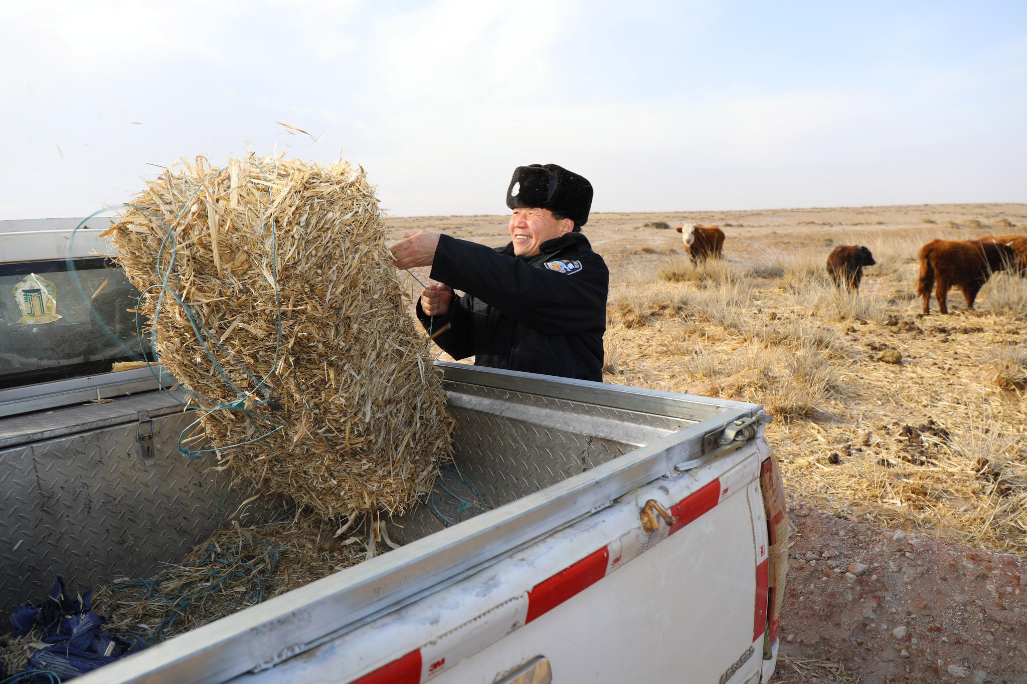 宝音德力格尔下乡入户时,帮助牧民搬运过冬草料(资料图片).