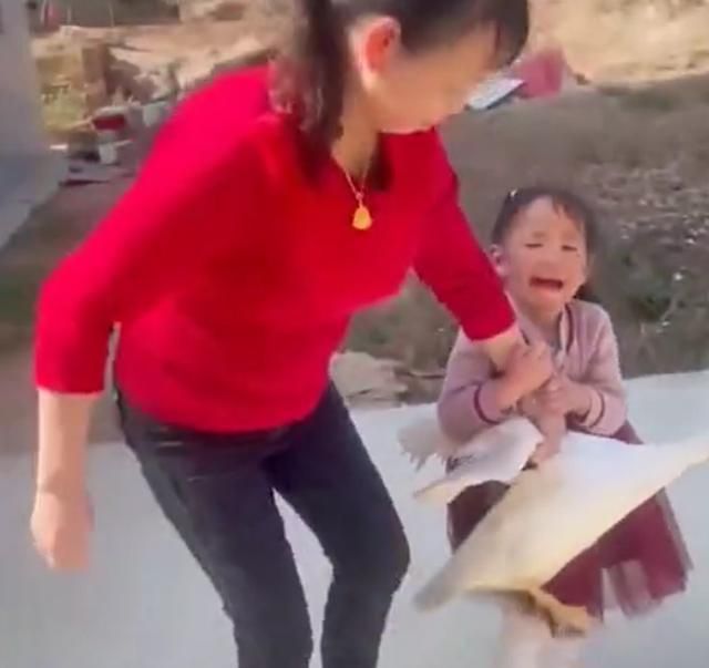 福建泉州一4岁女孩因奶奶杀鸭而崩溃大哭,场面看着让人心疼休闲区蓝鸢梦想 - Www.slyday.coM