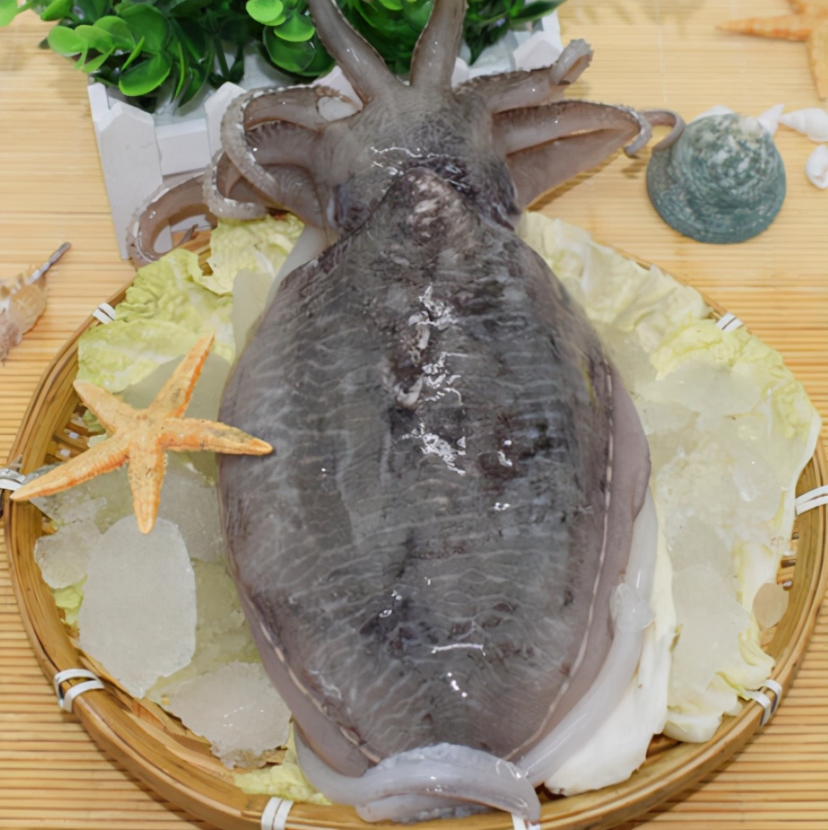 墨鱼到底有多美味试试这种广式做法鲜嫩脆爽好吃又解馋