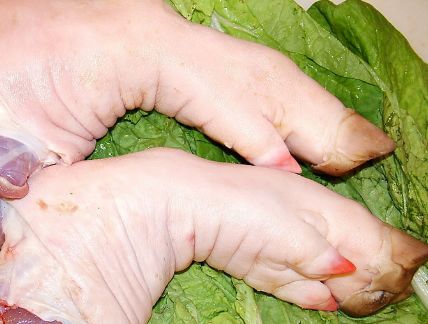 分清"前蹄""后蹄"很重要,两者差别很大,买错浪费钱|猪蹄|褶皱|脚趾