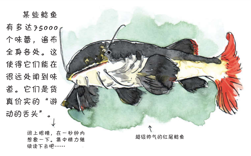 鱼会放屁吗 新浪网