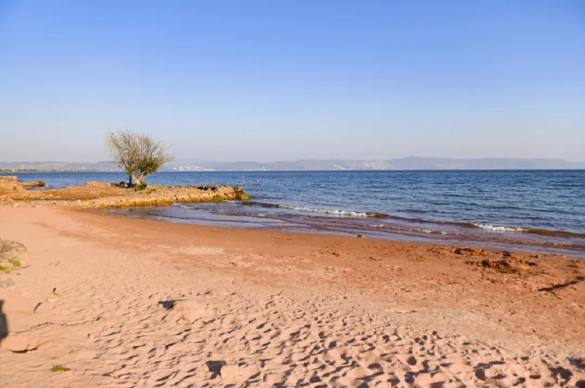 "昆明市区年平均气温16℃,夏无酷暑,冬无严寒,一年四季鲜花不断,草木