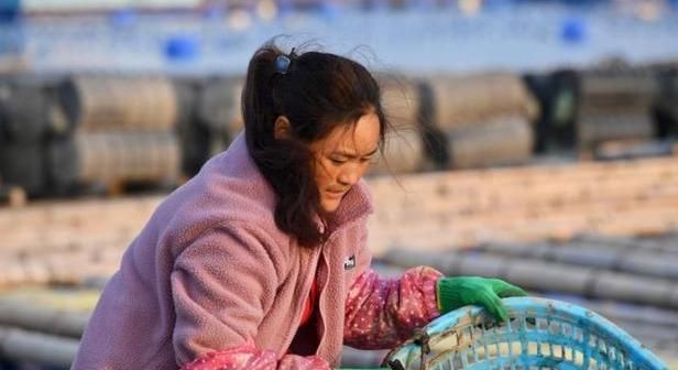 若能一世安稳谁愿颠沛流离春运妈妈为何能感动数亿国人