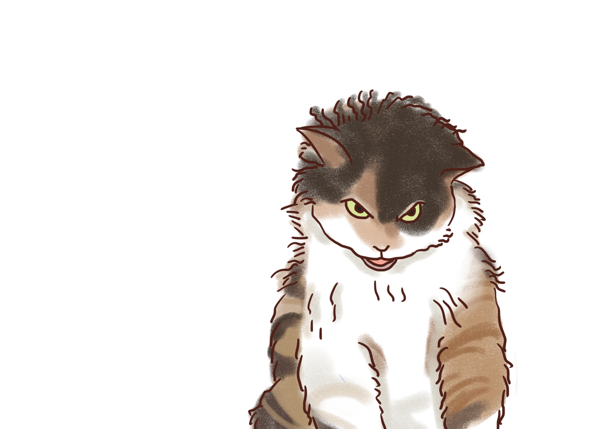 在古代有一席之地的玳瑁猫现如今很不受待见不要再偏心啦