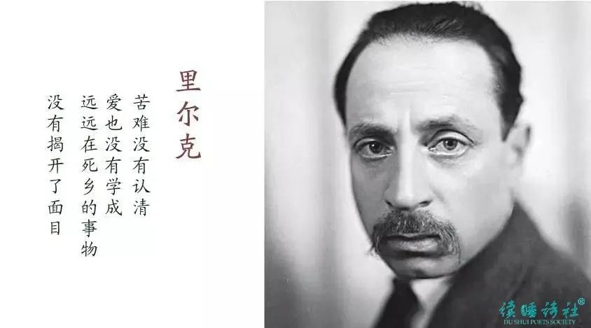 冯至:里尔克|苦难没有认清,爱也没有学成