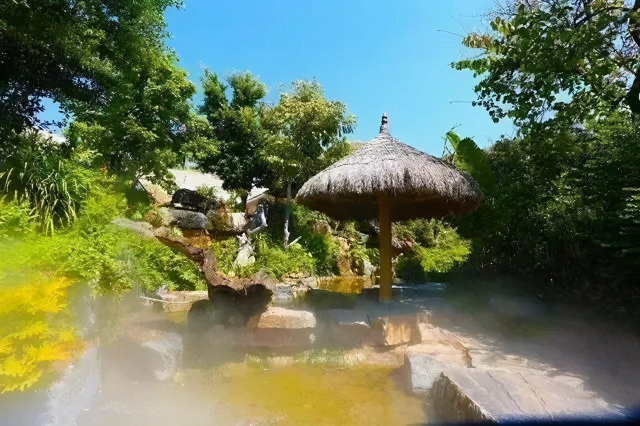 春节旅游推荐:生态康养,富氧旅居|百花岭|导航|隆阳区_新浪新闻