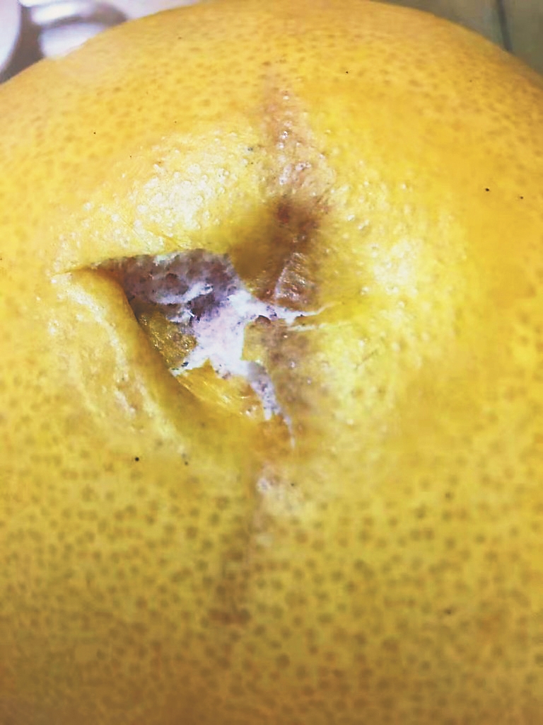 她在永辉超市的购物平台上购买了蔬菜和水果,其中一个柚子长毛发霉,她