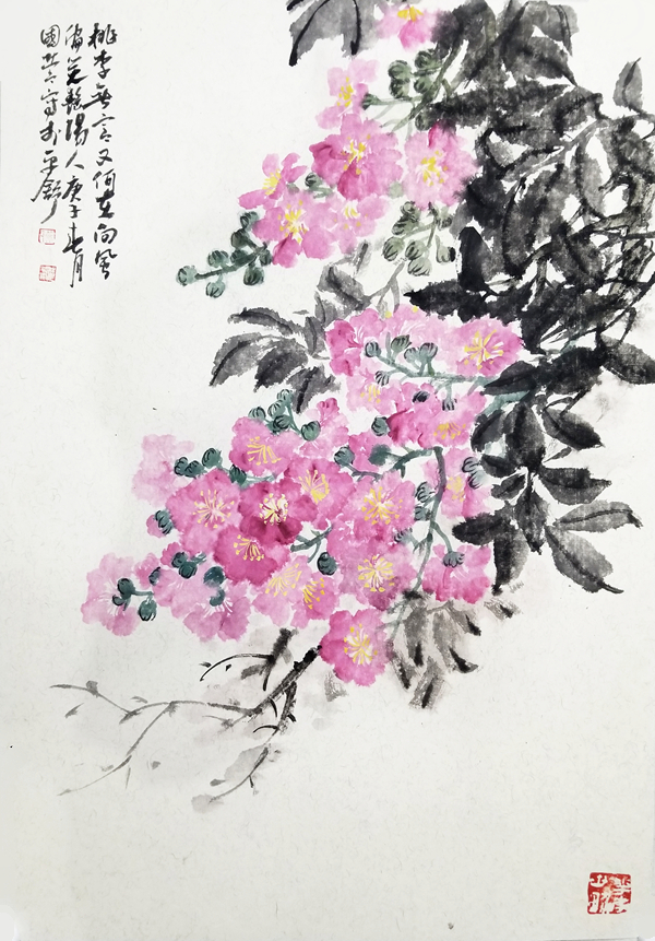 紫薇花开△连翘△碧海奇珍意象国营具有在乡村执教十几年的经历