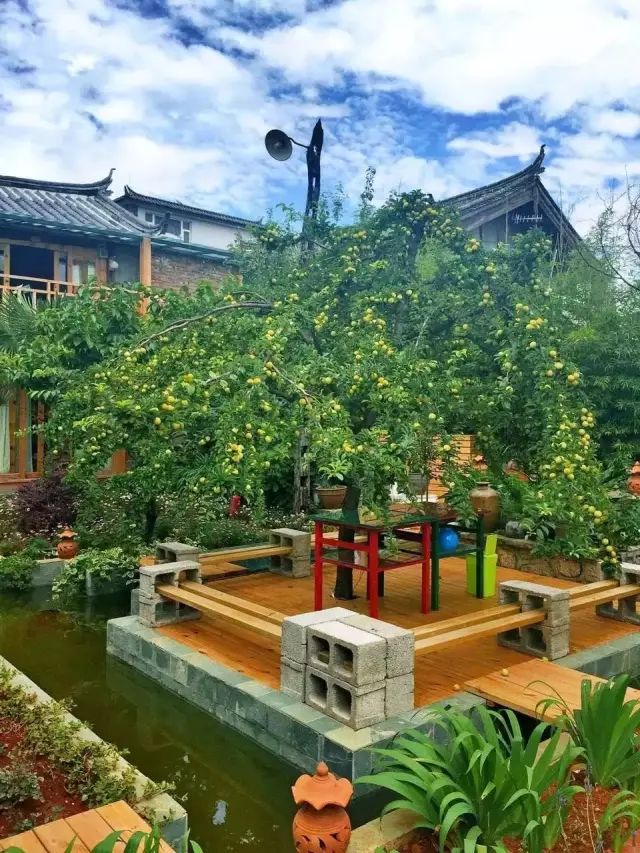被人"忽悠"到丽江,她却租了个小院爆改成秘密花园,只为和爱的人一起看